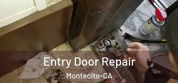 Entry Door Repair Montecito-CA