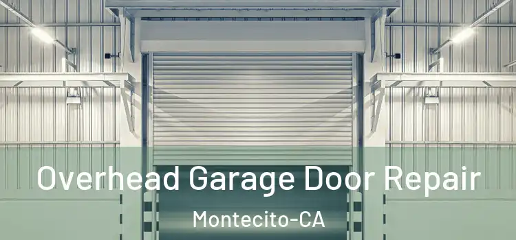  Overhead Garage Door Repair Montecito-CA