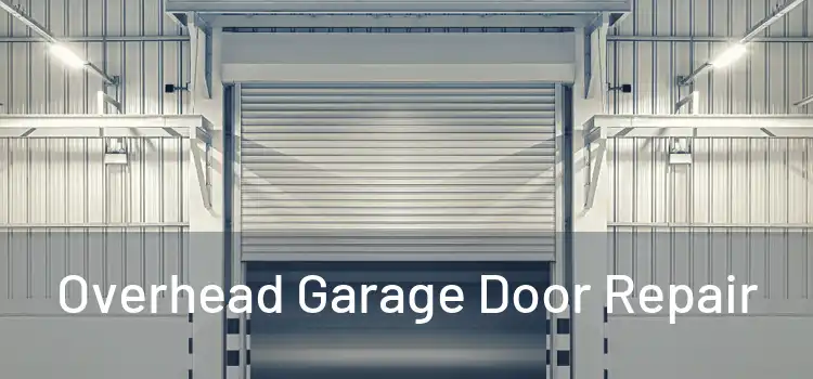  Overhead Garage Door Repair 
